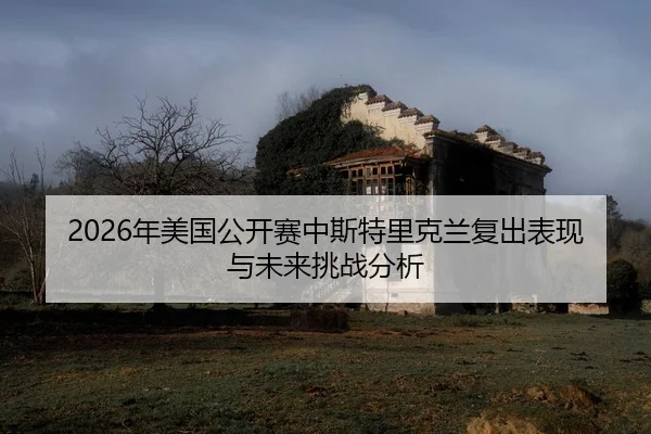 nian-mei-guo-gong-kai-sai-zhong-si-te-li-ke-lan-fu-chu-biao-xian-yu-wei-lai-tiao-zhan-fen-xi-2-234.jpg
